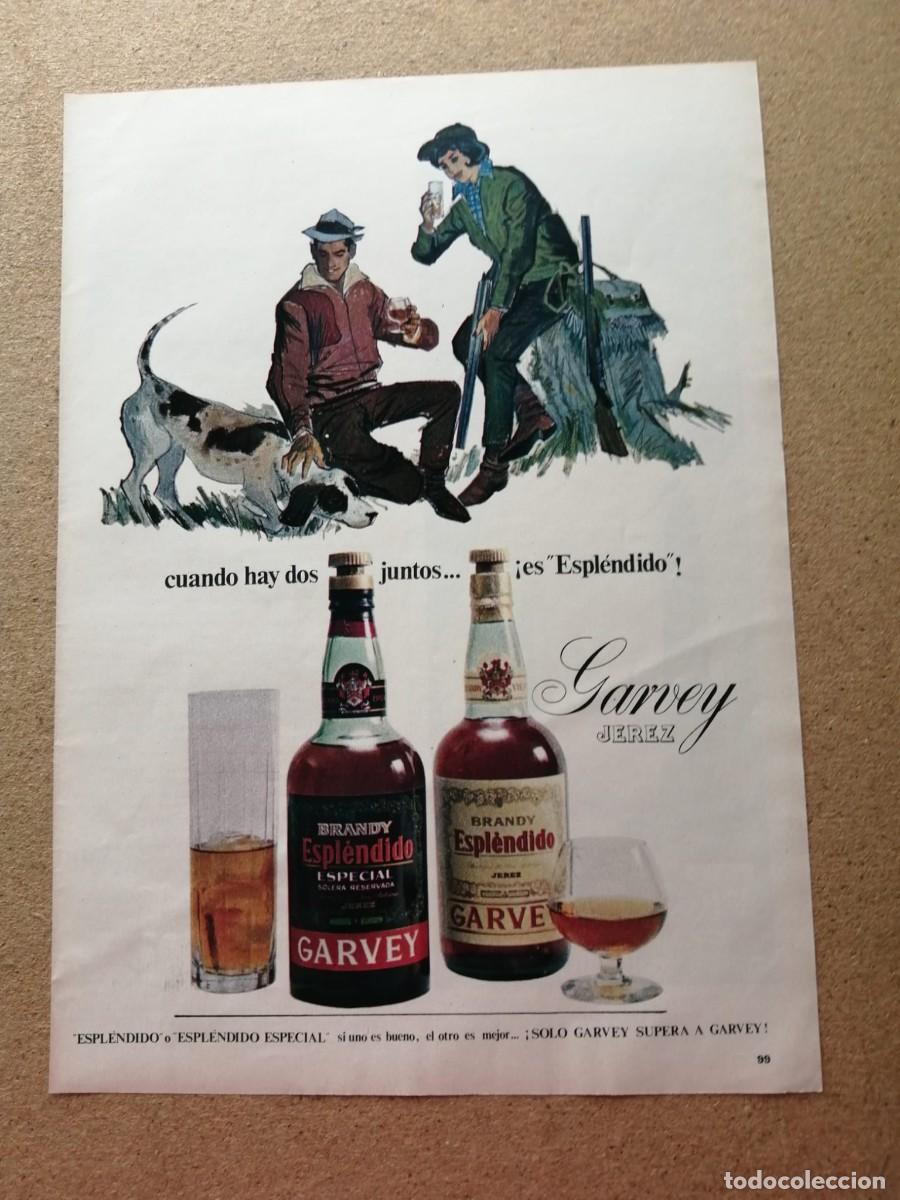 Otros Art&iacute;culos de Coleccionismo en Papel: ANUNCIO. BRANDY ESPLENDIDO GARVEY