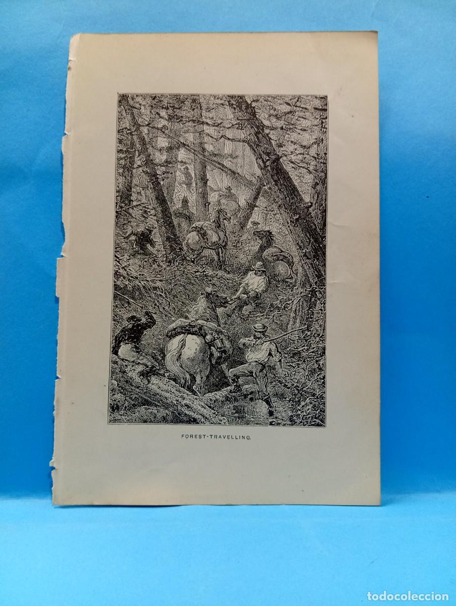 Otros Art&iacute;culos de Coleccionismo en Papel: ILUSTRACION DE LIBROS. MEDIDAS : 18.5 X 12 CM APROX.