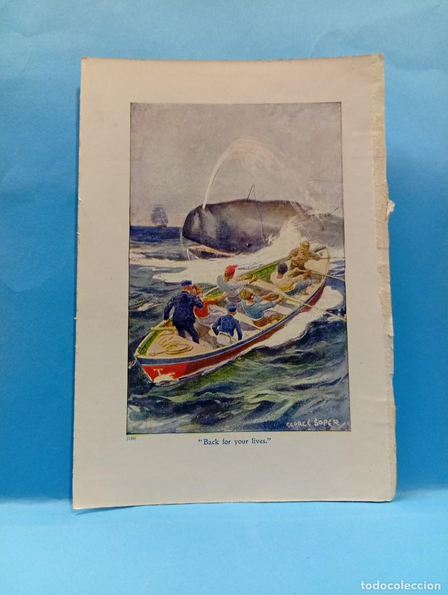 Otros Art&iacute;culos de Coleccionismo en Papel: ILUSTRACION DE LIBROS. MEDIDAS : 18.5 X 12.5 CM APROX.