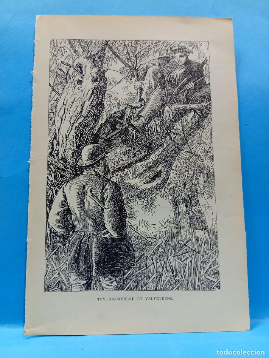 Outros artigos de papel: ILUSTRACION DE LIBROS. MEDIDAS : 18.5 X 12.5 CM APROX.