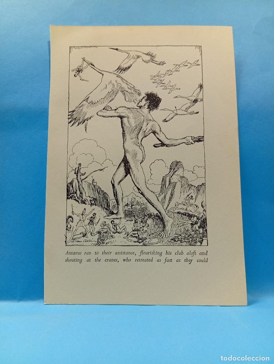 Altri oggetti di carta: ILUSTRACION DE LIBROS. MEDIDAS : 19.5 X 13 CM APROX.