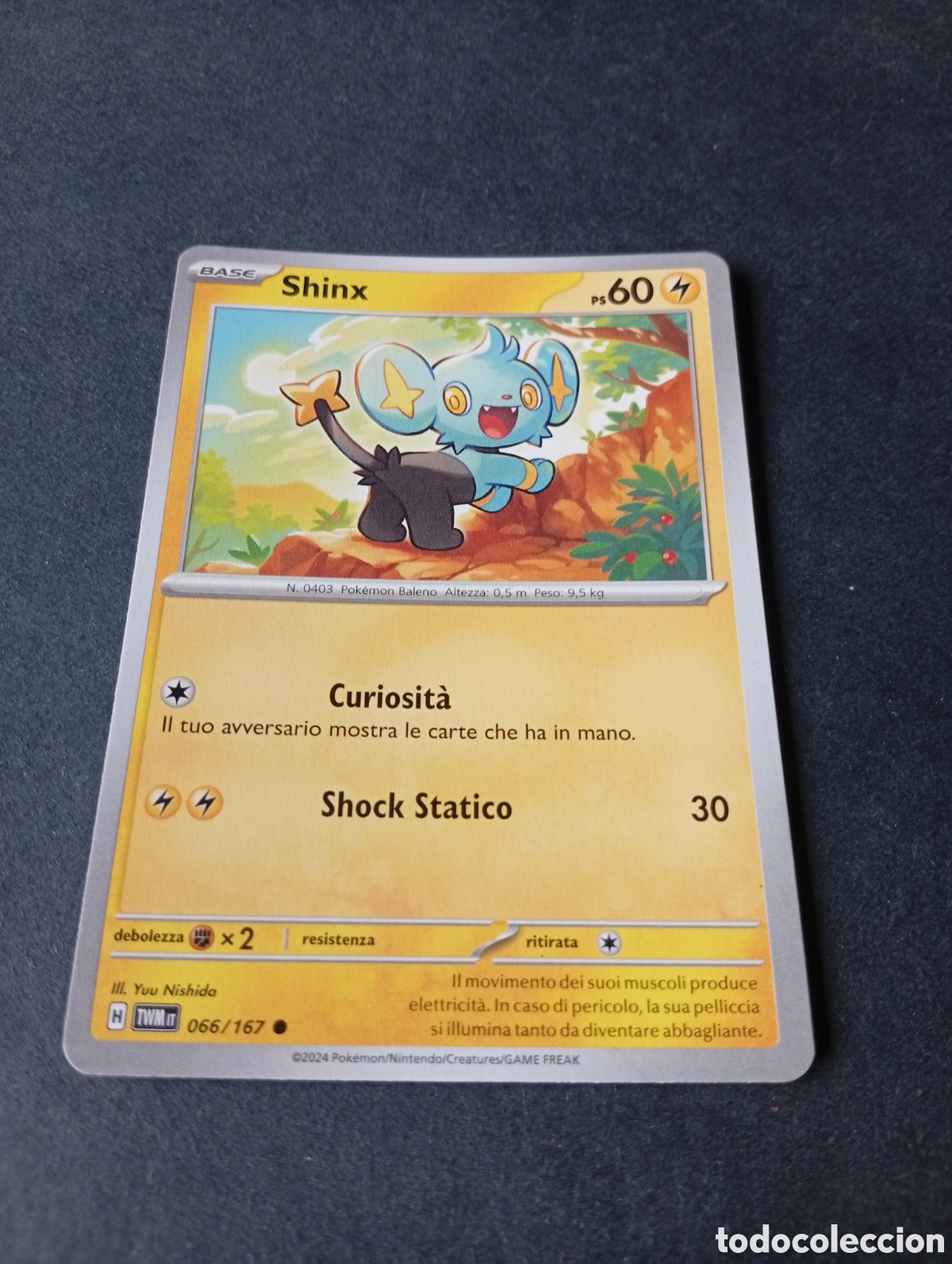Sammelleidenschaft Andere Papierartikel: Carta Pok&eacute;mon Shinx .....