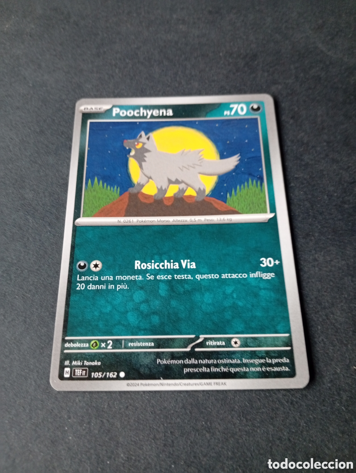 Otros Art&iacute;culos de Coleccionismo en Papel: Carta Pok&eacute;mon Poochyena
