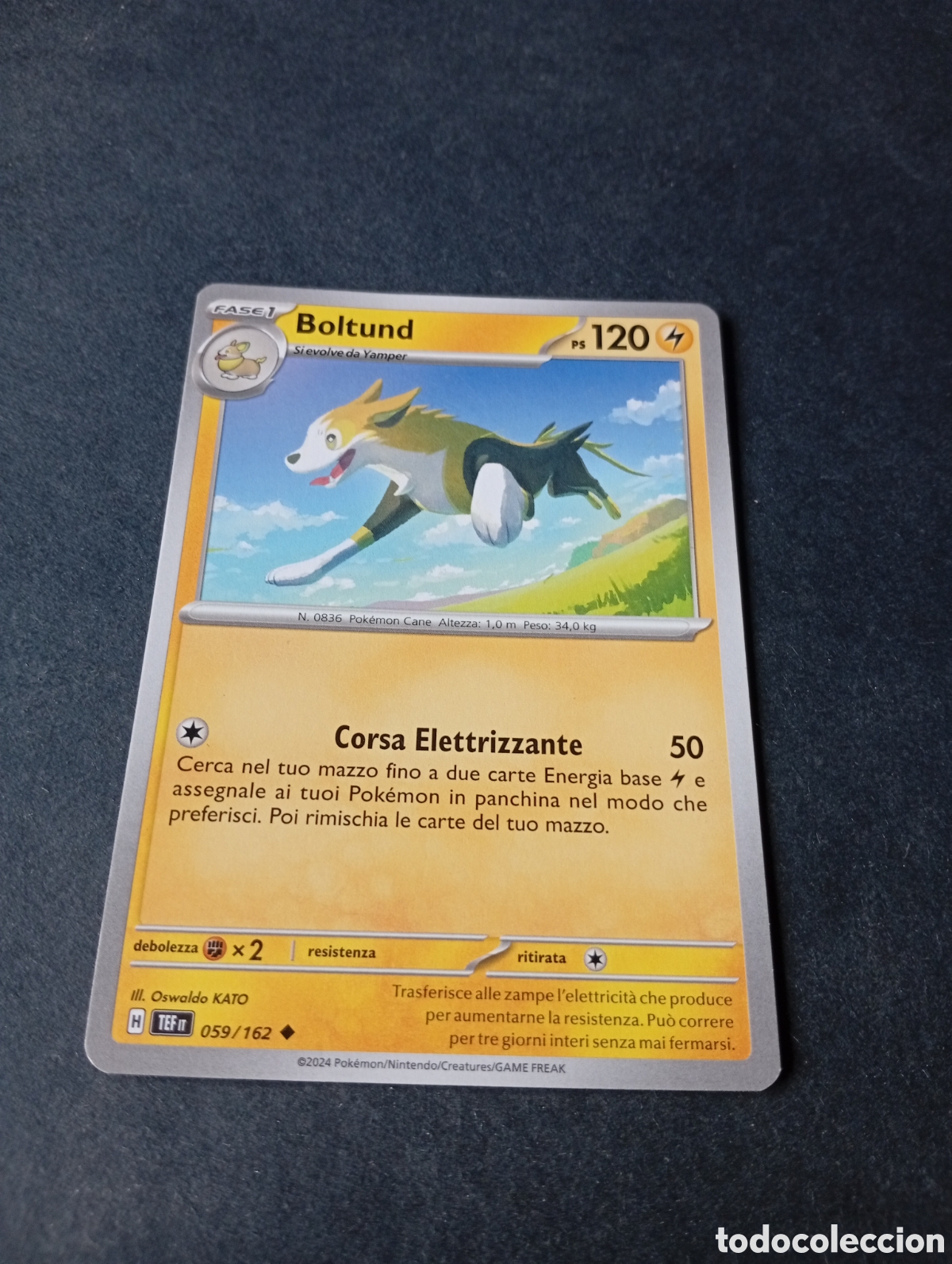 Otros Art&iacute;culos de Coleccionismo en Papel: Carta Pok&eacute;mon Boltund.....