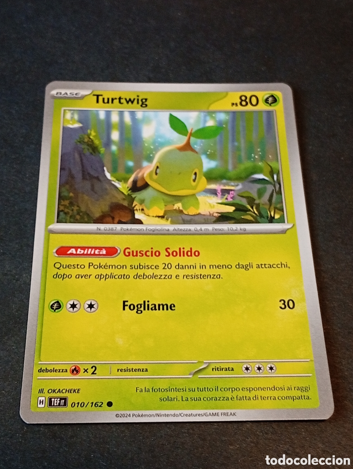 Otros Art&iacute;culos de Coleccionismo en Papel: Carta Pok&eacute;mon turtwig..