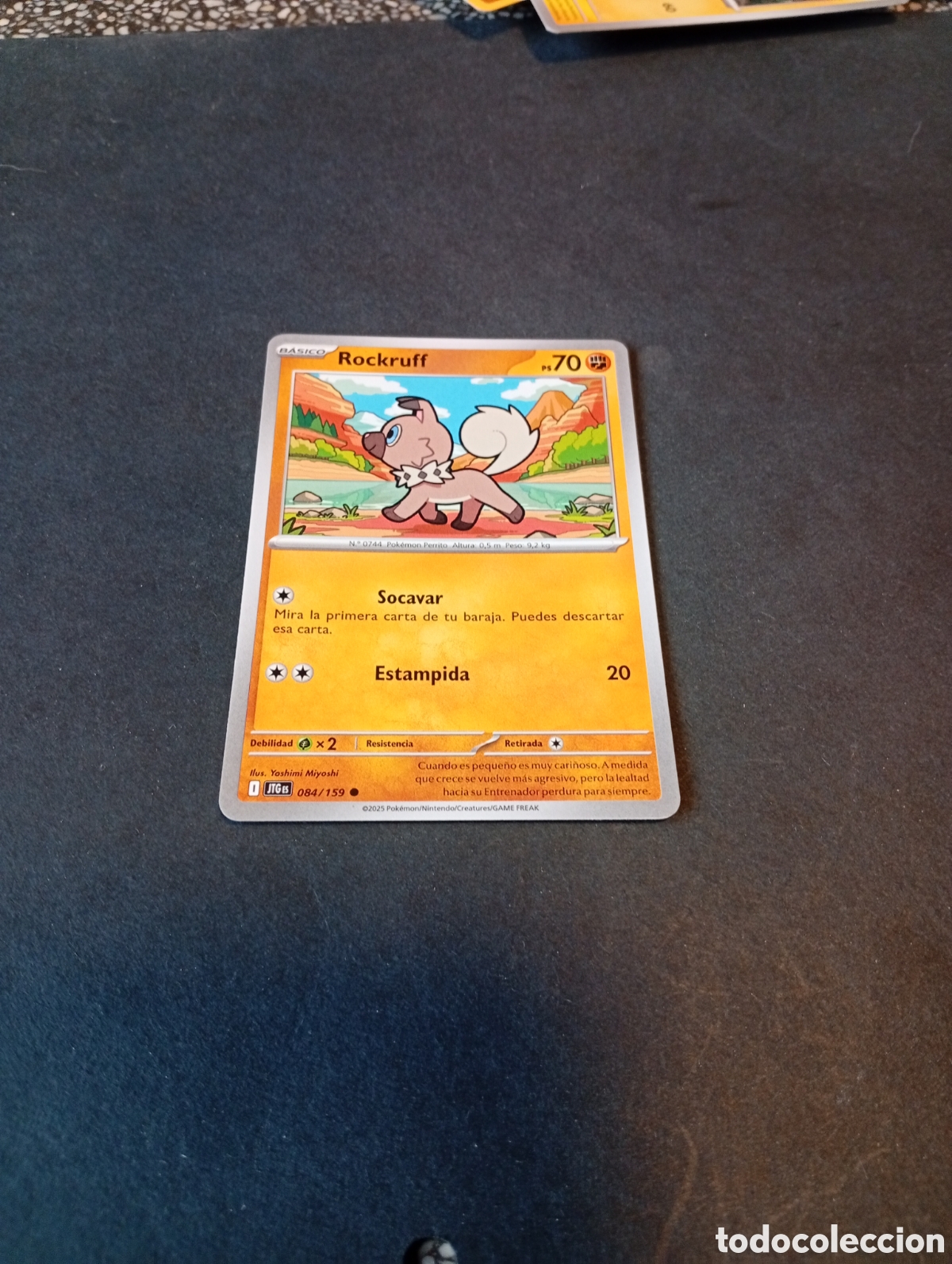 Otros Art&iacute;culos de Coleccionismo en Papel: Carta Pok&eacute;mon Rockruff