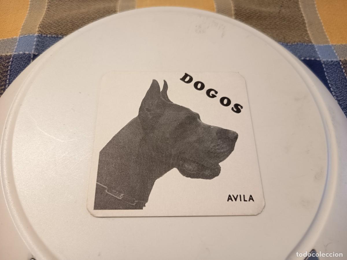 Paper Collecting Others: POSAVASOS PUB DOGOS-AVILA