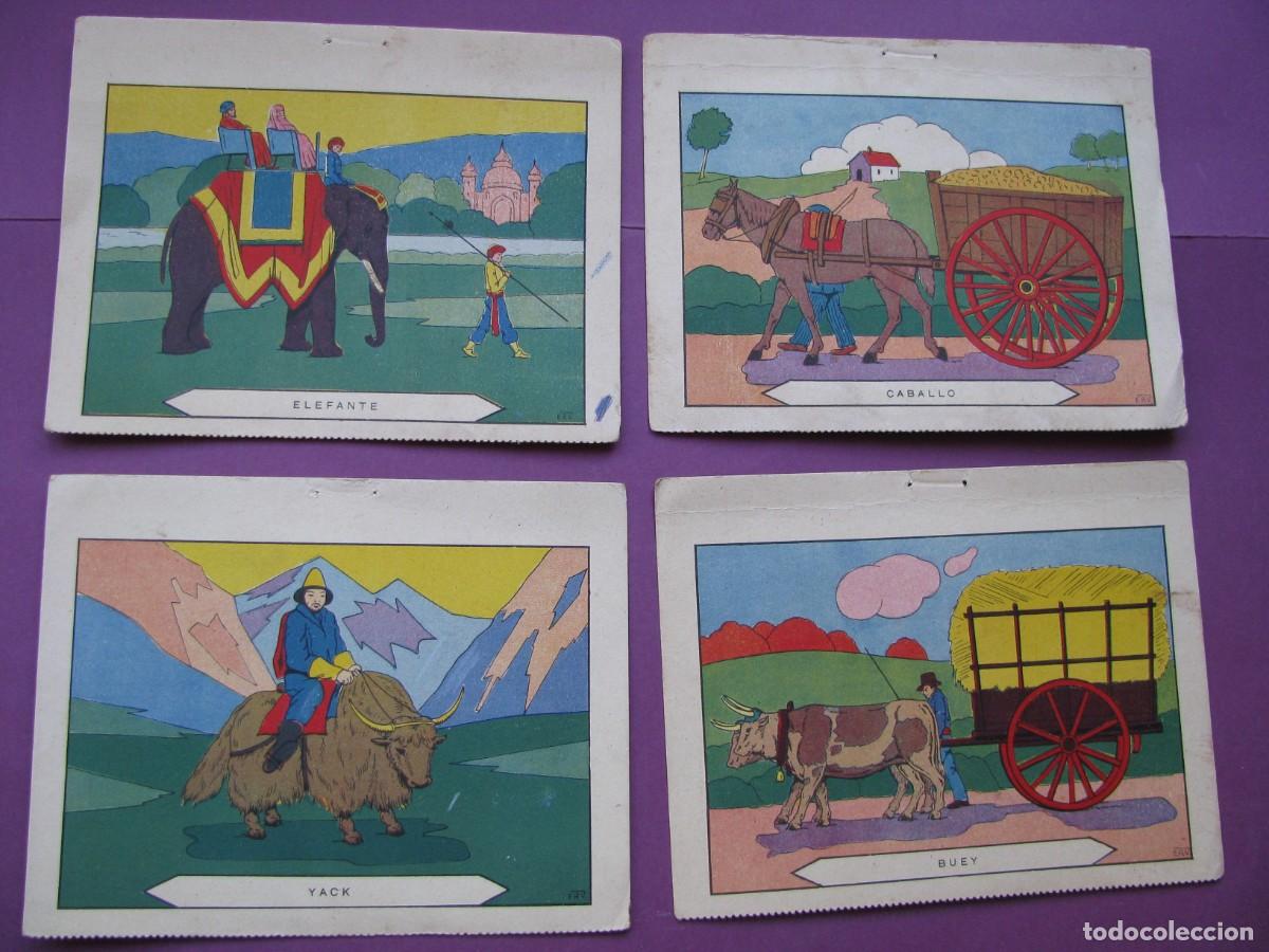 Otros Art&iacute;culos de Coleccionismo en Papel: DIBUJOS SUELTOS DE LA SERIE BLOQUES PARA PINTAR. ANIMALES DE TRACCION. JUAN BARGU&Ntilde;&Oacute;