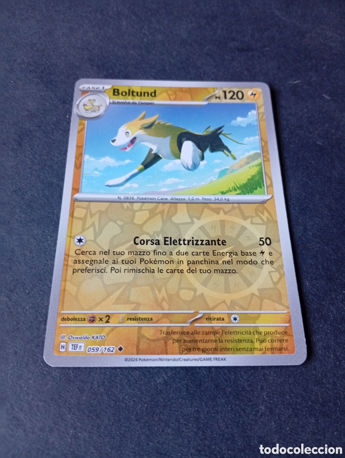 Otros Art&iacute;culos de Coleccionismo en Papel: Carta Pok&eacute;mon Boltund...