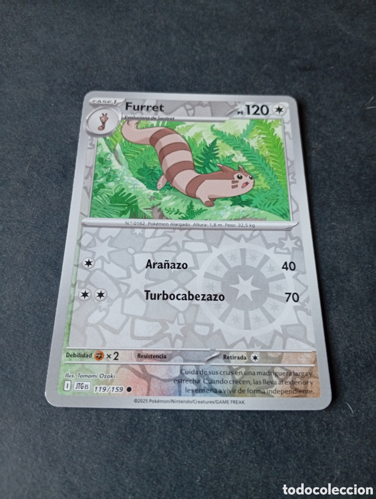 Otros Art&iacute;culos de Coleccionismo en Papel: Carta Pok&eacute;mon furret.....