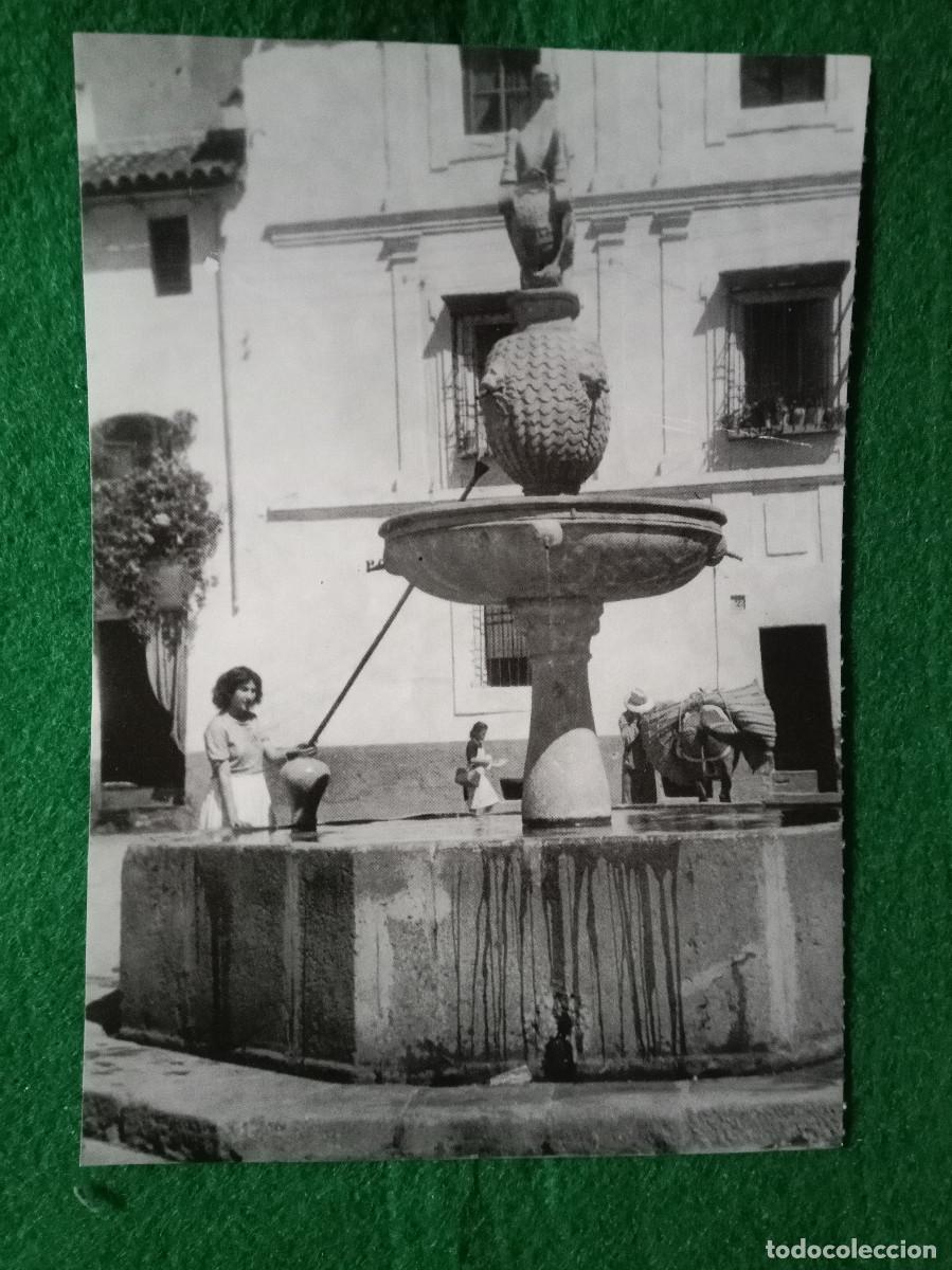 Otros Art&iacute;culos de Coleccionismo en Papel: Fotol&aacute;mina - C&oacute;rdoba Antigua - Lamina, 6 - Fotol&aacute;mina de 15cmt X 10&acute;5cmt.