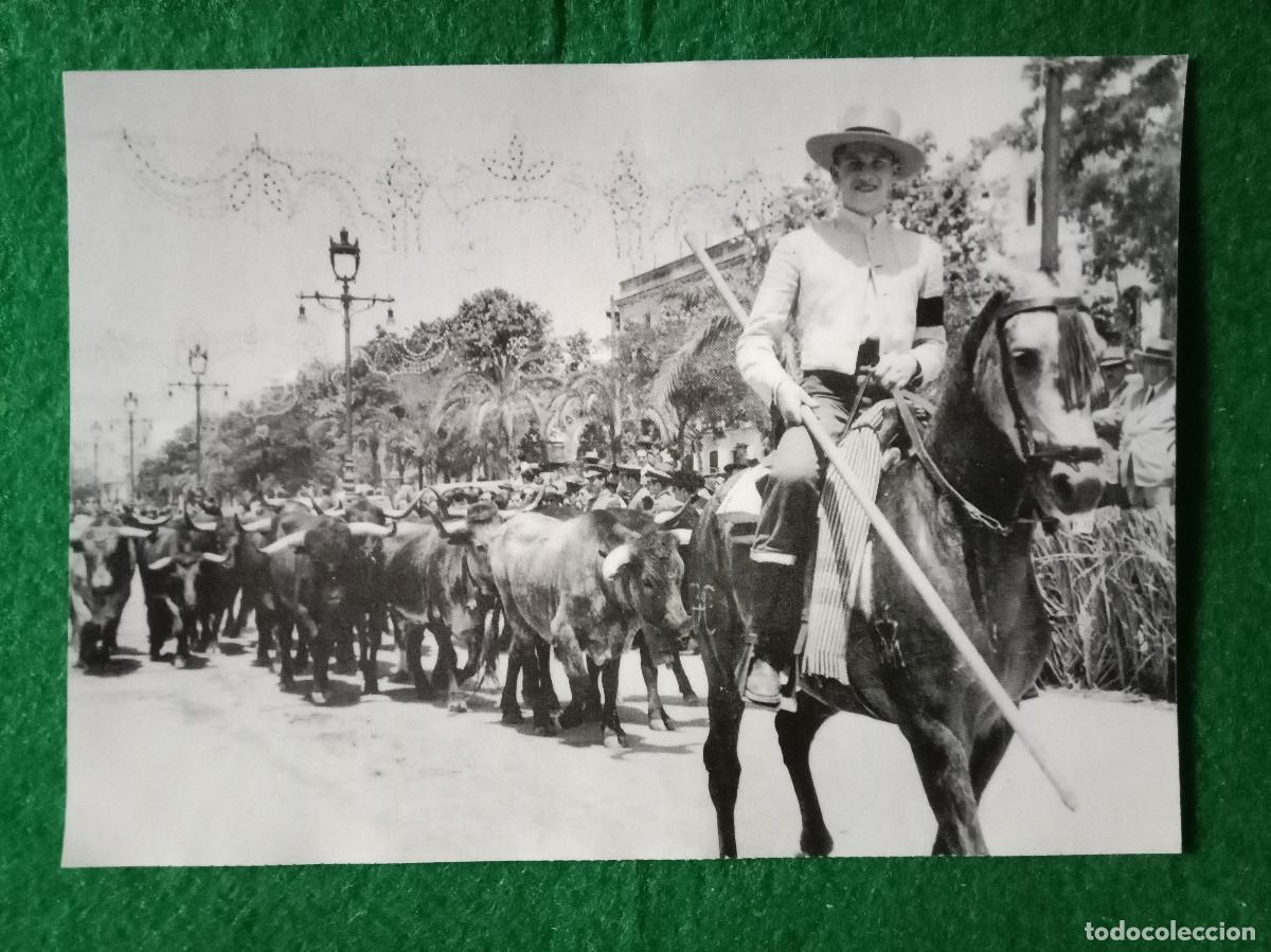 Otros Art&iacute;culos de Coleccionismo en Papel: Fotol&aacute;mina - C&oacute;rdoba Antigua - Lamina, 15 - Fotol&aacute;mina de 15cmt X 10&acute;5cmt.