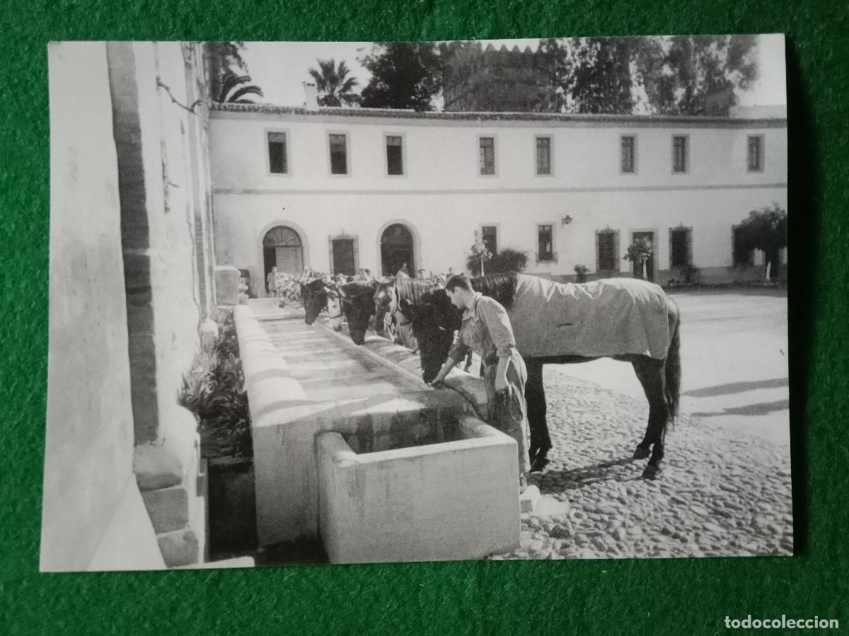 Otros Art&iacute;culos de Coleccionismo en Papel: Fotol&aacute;mina - C&oacute;rdoba Antigua - Lamina, 32 - Fotol&aacute;mina de 15cmt X 10&acute;5cmt.