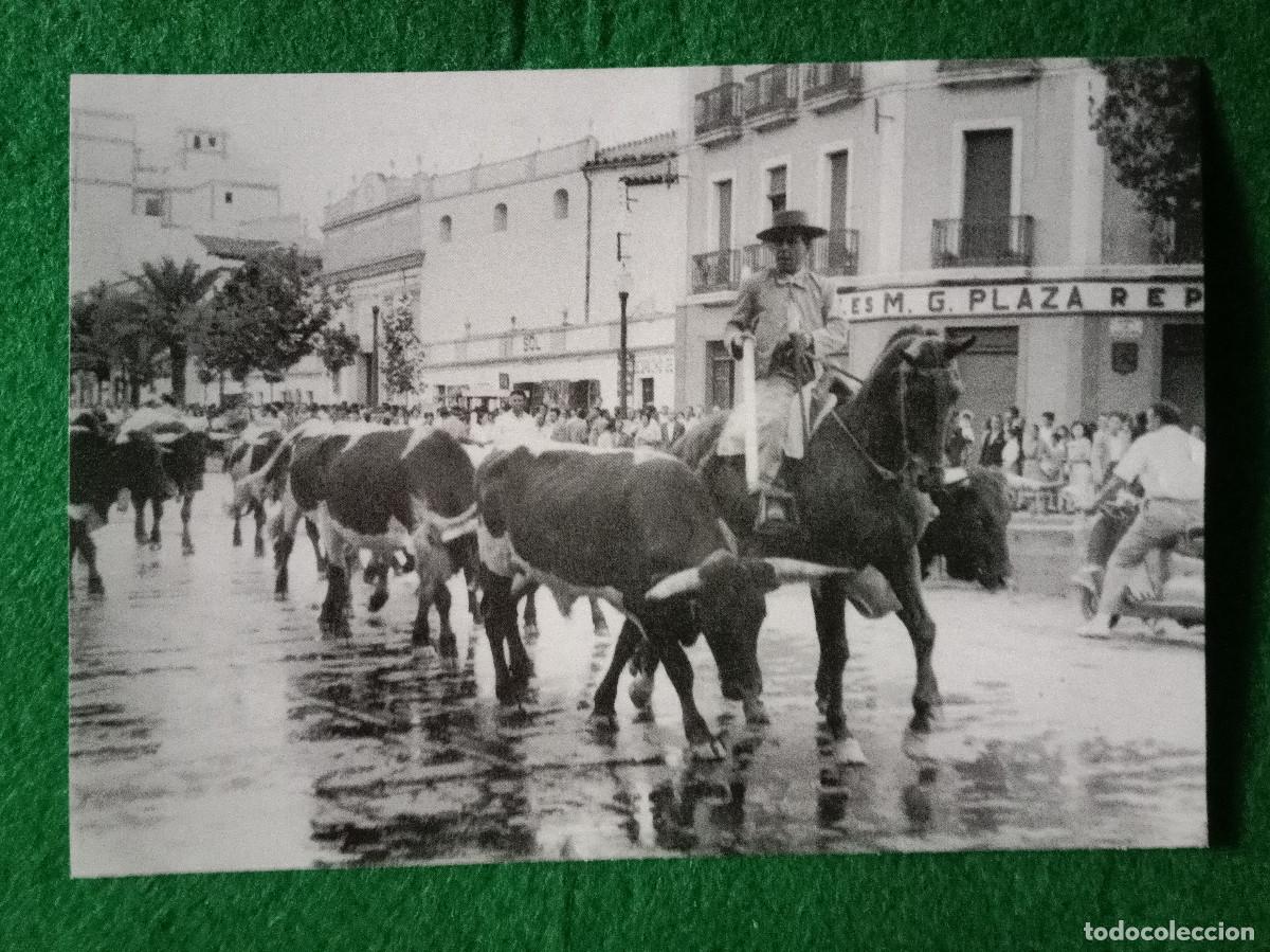 Otros Art&iacute;culos de Coleccionismo en Papel: Fotol&aacute;mina - C&oacute;rdoba Antigua - Lamina, 81 - Fotol&aacute;mina de 15cmt X 10&acute;5cmt.