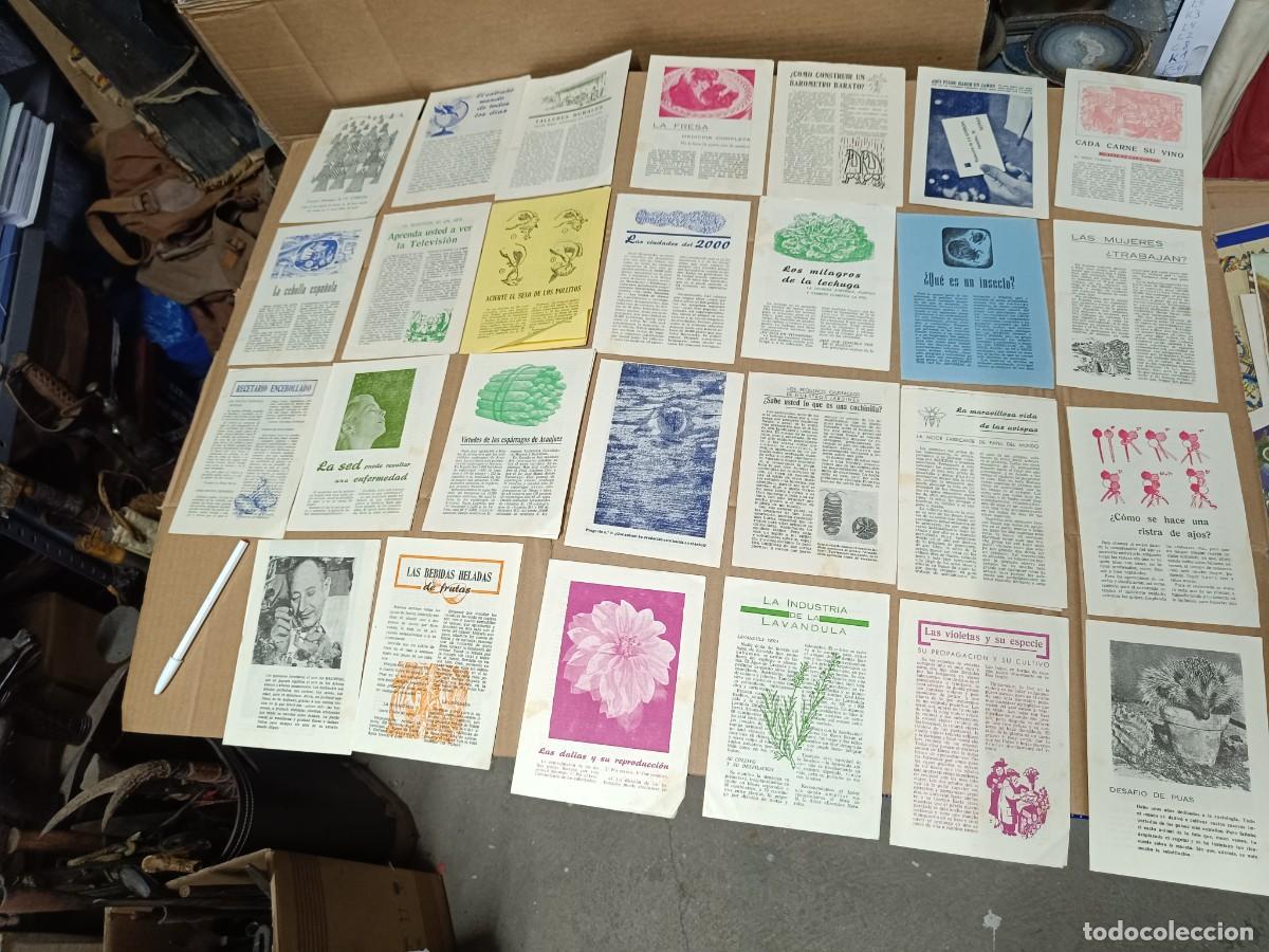 Paper Collecting Others: LOTE DE 27 ANTIGUOS FOLLETOS DE CIENCIA, GASTRONOMIA, INSECTOS, CULTURA , PLANTAS -P25