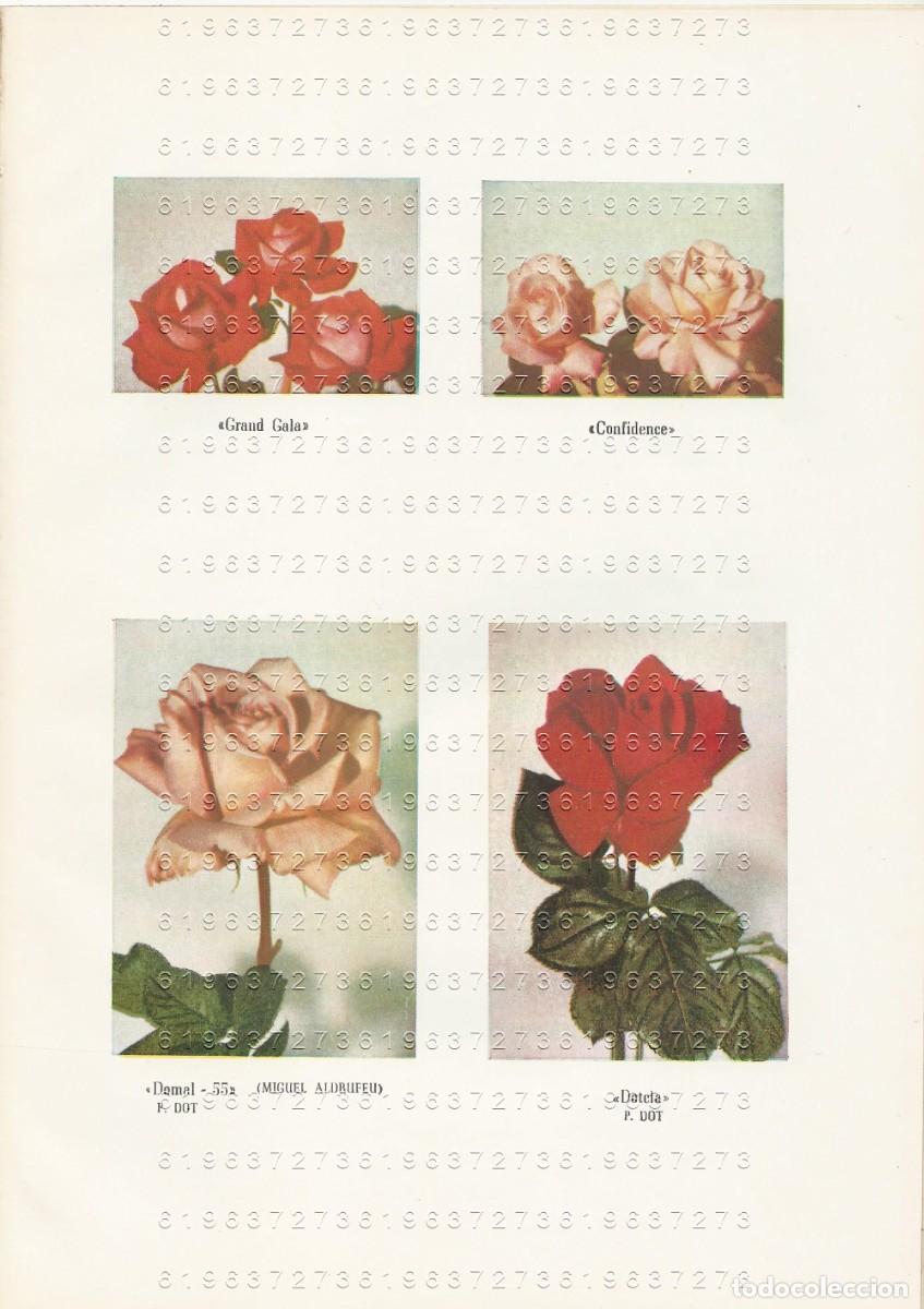 Paper Collecting Others: PLANTAS ORNAMENTALES REGISTRO DE VARIEDADES JOAQUIN MIRANDA DE ONIS 36PGS SUELTAS U78