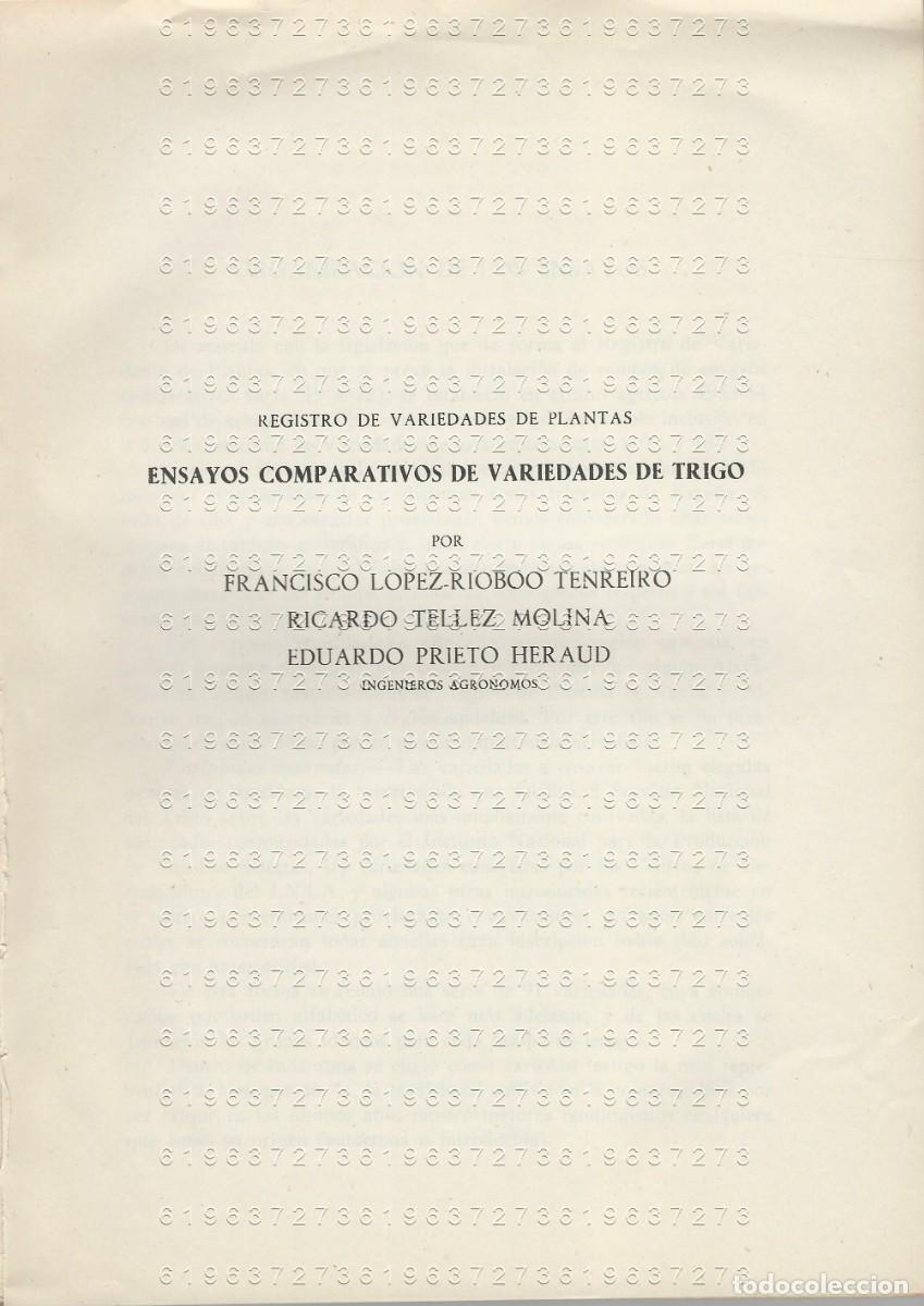 Otros Art&iacute;culos de Coleccionismo en Papel: VARIEDADES DE TRIGO ENSAYOS COMPARATIVOS FRANCISCO LOPEZ RIOBOO 204PGS SUELTAS U78