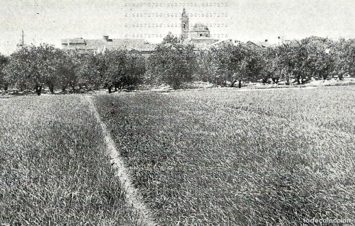Otros Art&iacute;culos de Coleccionismo en Papel: ALBERIQUE VALENCIA 12X7 CLIPPING MUY ANTIGUO M24