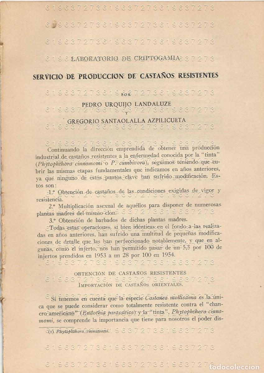 Otros Art&iacute;culos de Coleccionismo en Papel: PEDRO URQUIJO LANDALUZE SERVICIO DE PRODUCCION DE CASTA&Ntilde;OS RESISTENTES 42 PGS SUELTAS U78