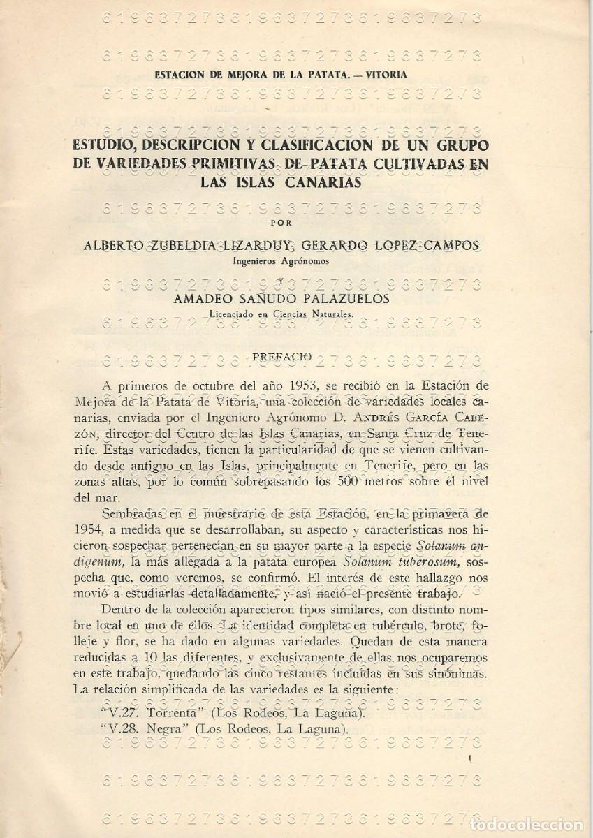 Otros Art&iacute;culos de Coleccionismo en Papel: ALBERTO ZUBELDIA LIZARDUY VARIEDADES DE PATATA CULTIVADAS EN LAS ISLAS CANARIAS 38 PGS SUELTAS U78
