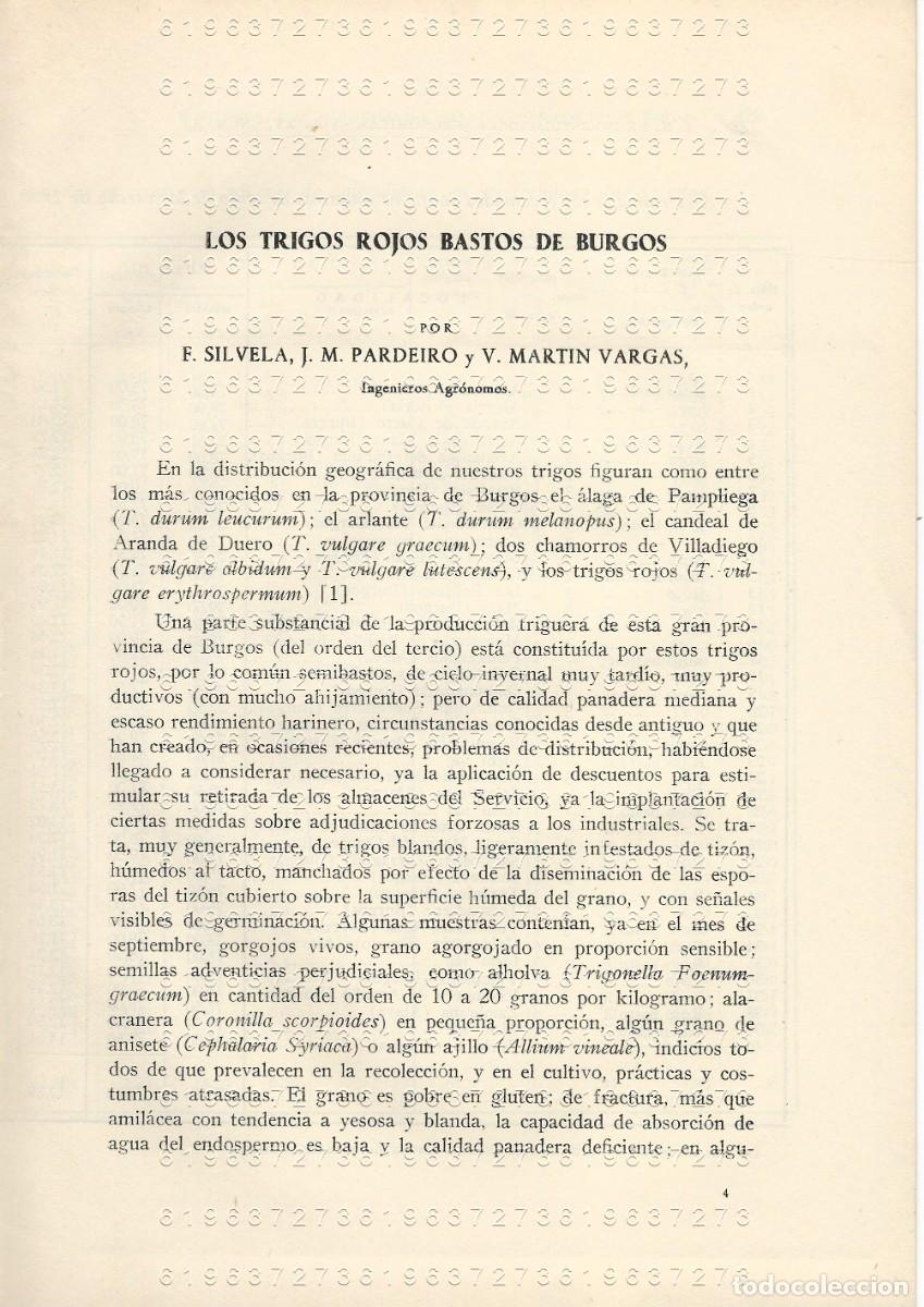 Otros Art&iacute;culos de Coleccionismo en Papel: LOS TRIGOS ROJOS BASTOS DE BURGOS F SILVELA JM PARDEIRO V MARTIN VARGAS MAPA Y 6 PGS SUELTAS U97
