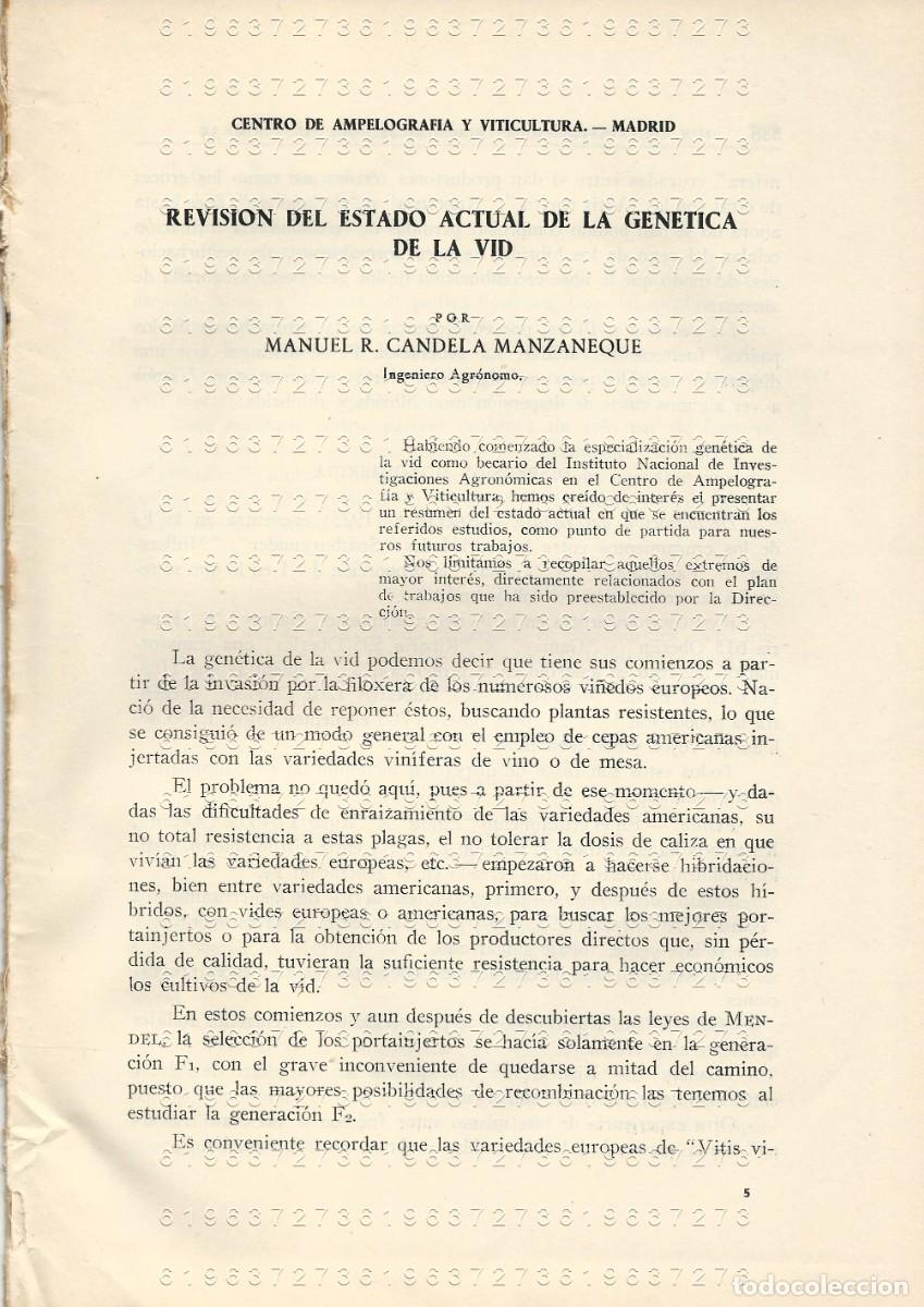 Otros Art&iacute;culos de Coleccionismo en Papel: REVISION DEL ESTADO ACTUAL DE LA GENETICA DE LA VID MANUEL R CANDELA MANZANEQUE 38 PGS SUELTAS U97