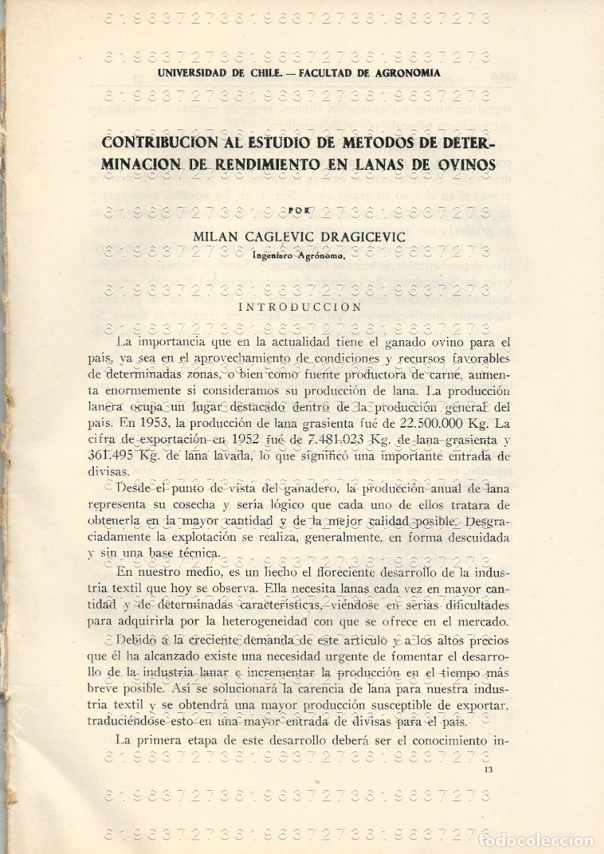 Otros Art&iacute;culos de Coleccionismo en Papel: MILAN CAGLEVIC DRAGICEVIC DETERMINACION DE RENDIMIENTO EN LANAS DE OVINOS 74 PGS SUELTAS U97