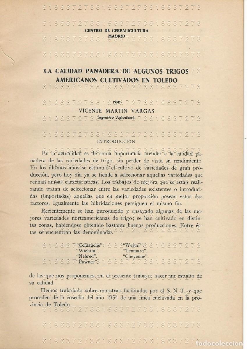 Otros Art&iacute;culos de Coleccionismo en Papel: VICENTE MARTIN VARGAS CALIDAD PANADERA DE ALGUNOS TRIGOS AMERICANOS CULTIVADOS EN TOLEDO U97