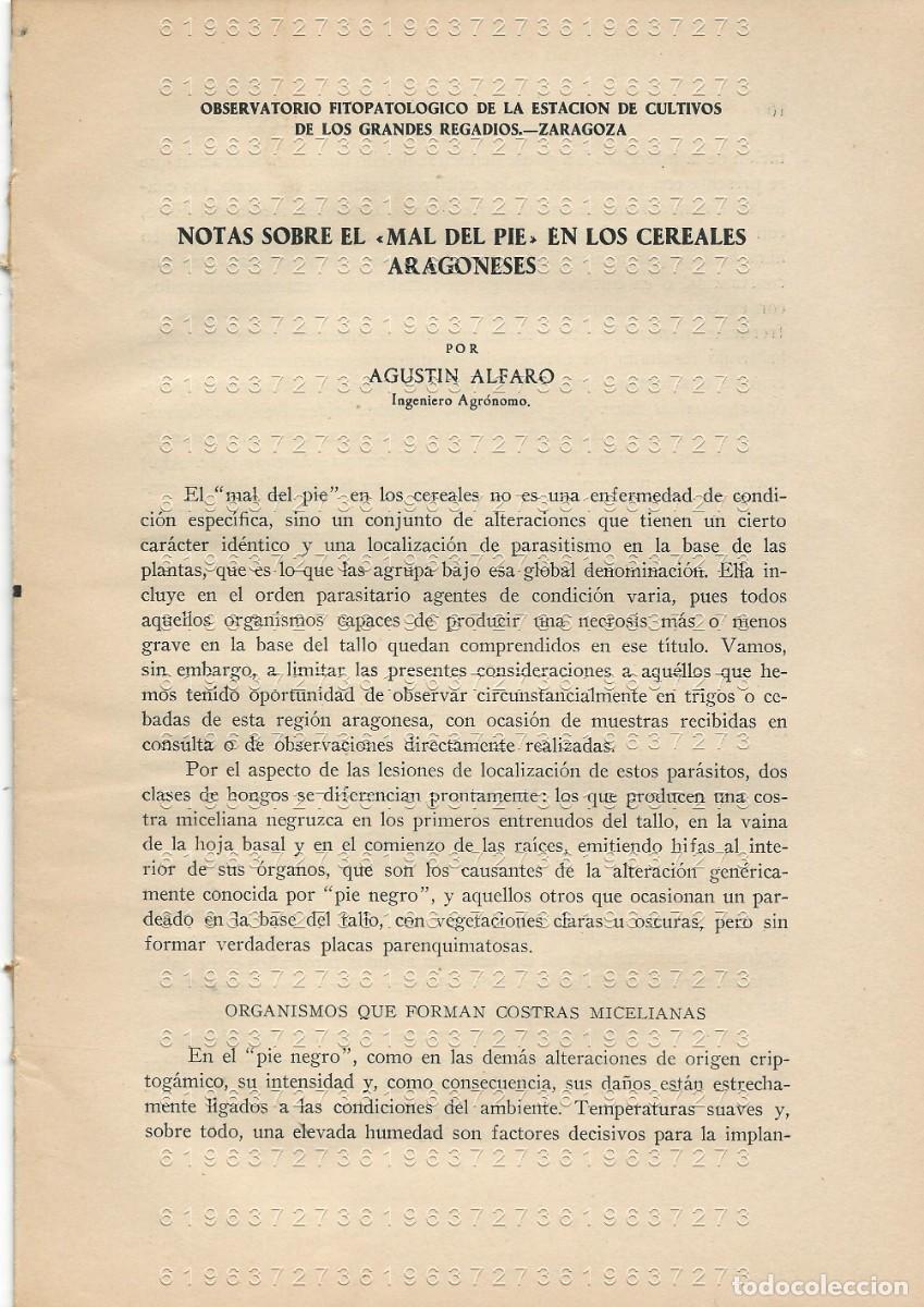 Otros Art&iacute;culos de Coleccionismo en Papel: AGUSTIN ALFARO MAL DEL PIE EN LOS CEREALES ARAGONESES 26 PGS SUELTAS U97