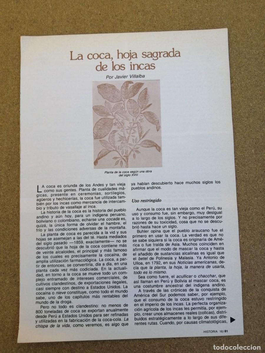 Otros Art&iacute;culos de Coleccionismo en Papel: REPORTAJE. LA COCA, HOJA SAGRADA DE LOS INCAS