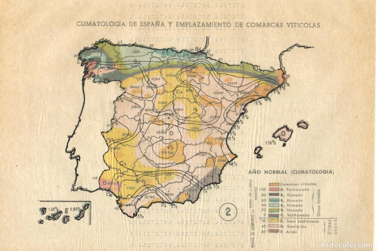 Otros Art&iacute;culos de Coleccionismo en Papel: MAPA DE ESPA&Ntilde;A ANTIGUO COMARCAS VITICOLAS CON HOJA DE PAPEL DE CEBOLLA SUPERPUESTA 24X16 M24