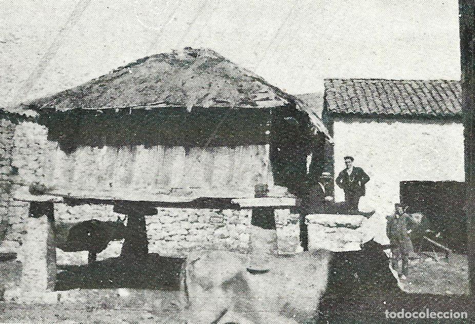 Otros Art&iacute;culos de Coleccionismo en Papel: BABIA LACIANA LEON 8X5 CLIPPING ANTIGUO M24