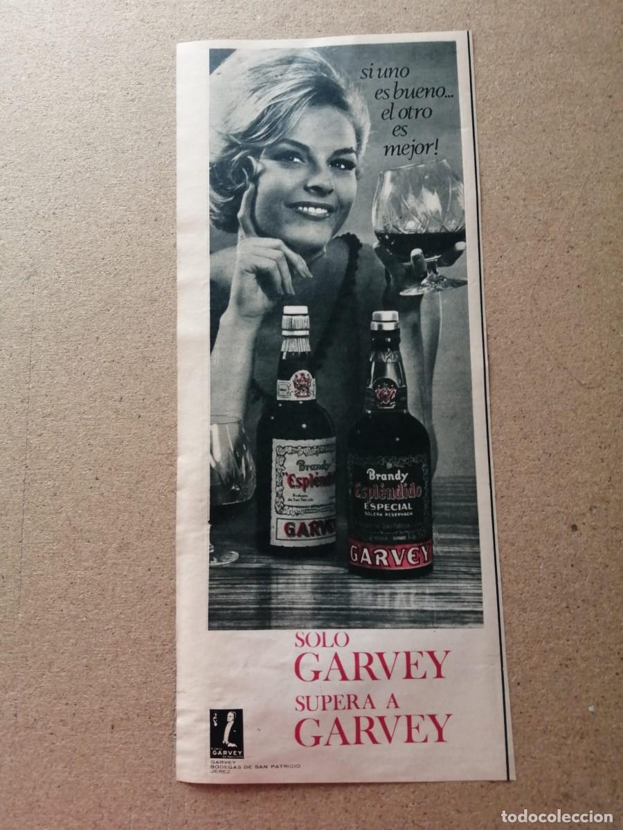 Otros Art&iacute;culos de Coleccionismo en Papel: ANUNCIO. BRANDY ESPLENDIDO GARVEY