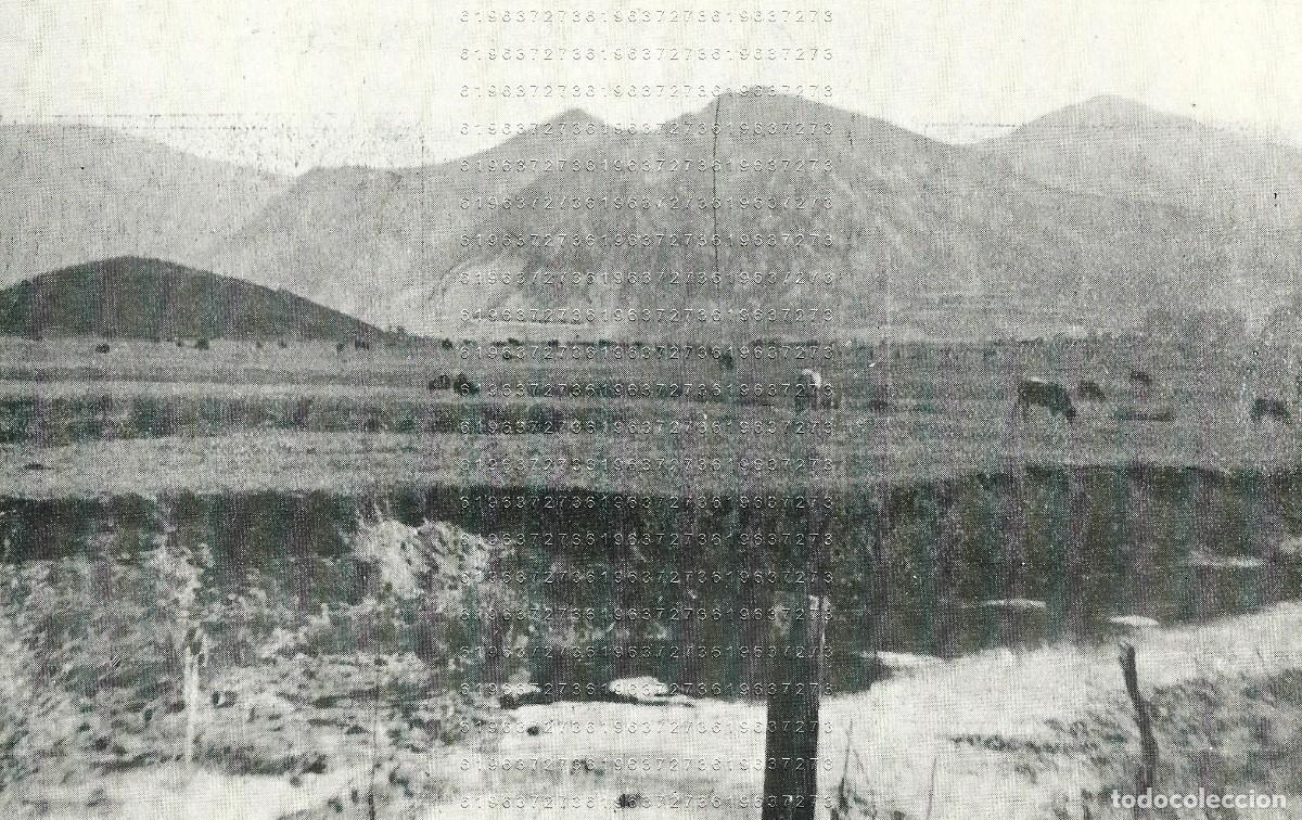 Paper Collecting Others: MENA AL FONDO BABIA LACIANA LEON 16X10 CLIPPING ANTIGUO M23