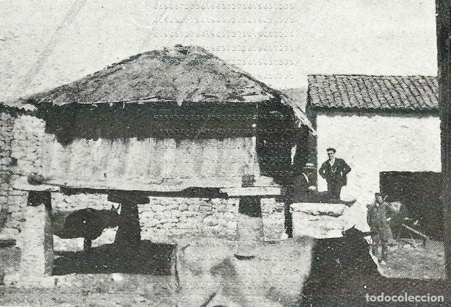 Collectionnisme Papier divers: BABIA LACIANA LEON 8X5 CLIPPING ANTIGUO M24