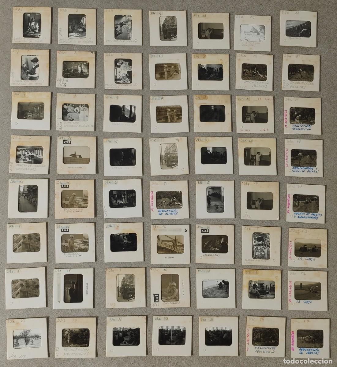 Otros Art&iacute;culos de Coleccionismo en Papel: LOTE DE 56 FOTOGRAF&Iacute;AS EN BLANCO Y NEGRO DE DIVERSOS OFICIOS EN TAMA&Ntilde;O DIAPOSITIVA - A&Ntilde;OS 70