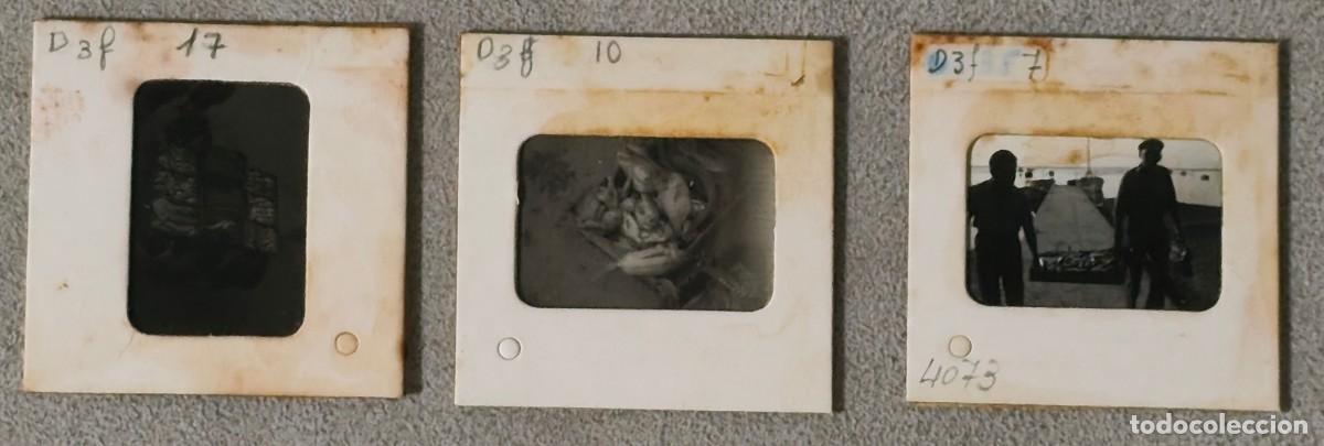 Otros Art&iacute;culos de Coleccionismo en Papel: LOTE DE 3 FOTOGRAF&Iacute;AS EN BLANCO Y NEGRO CON CAPTURAS DE PESCA EN TAMA&Ntilde;O DIAPOSITIVA - A&Ntilde;OS 70