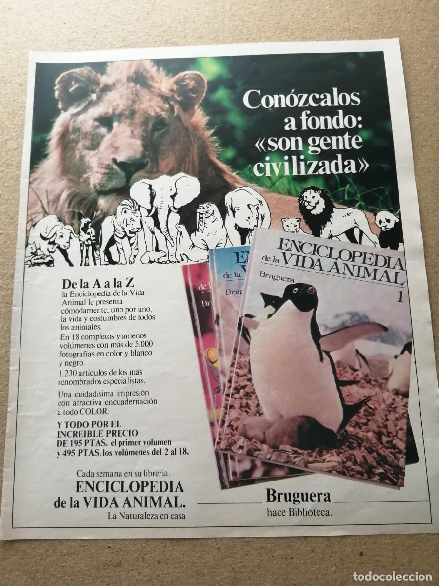 Otros Art&iacute;culos de Coleccionismo en Papel: ANUNCIO. ENCICLOPEDIA ANIMAL BRUGUERA