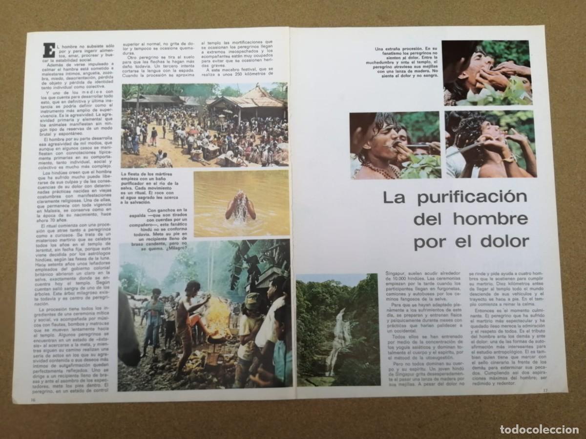 Otros Art&iacute;culos de Coleccionismo en Papel: REPORTAJE. LA PURIFICACION DEL HOMBRE POR EL DOLOR