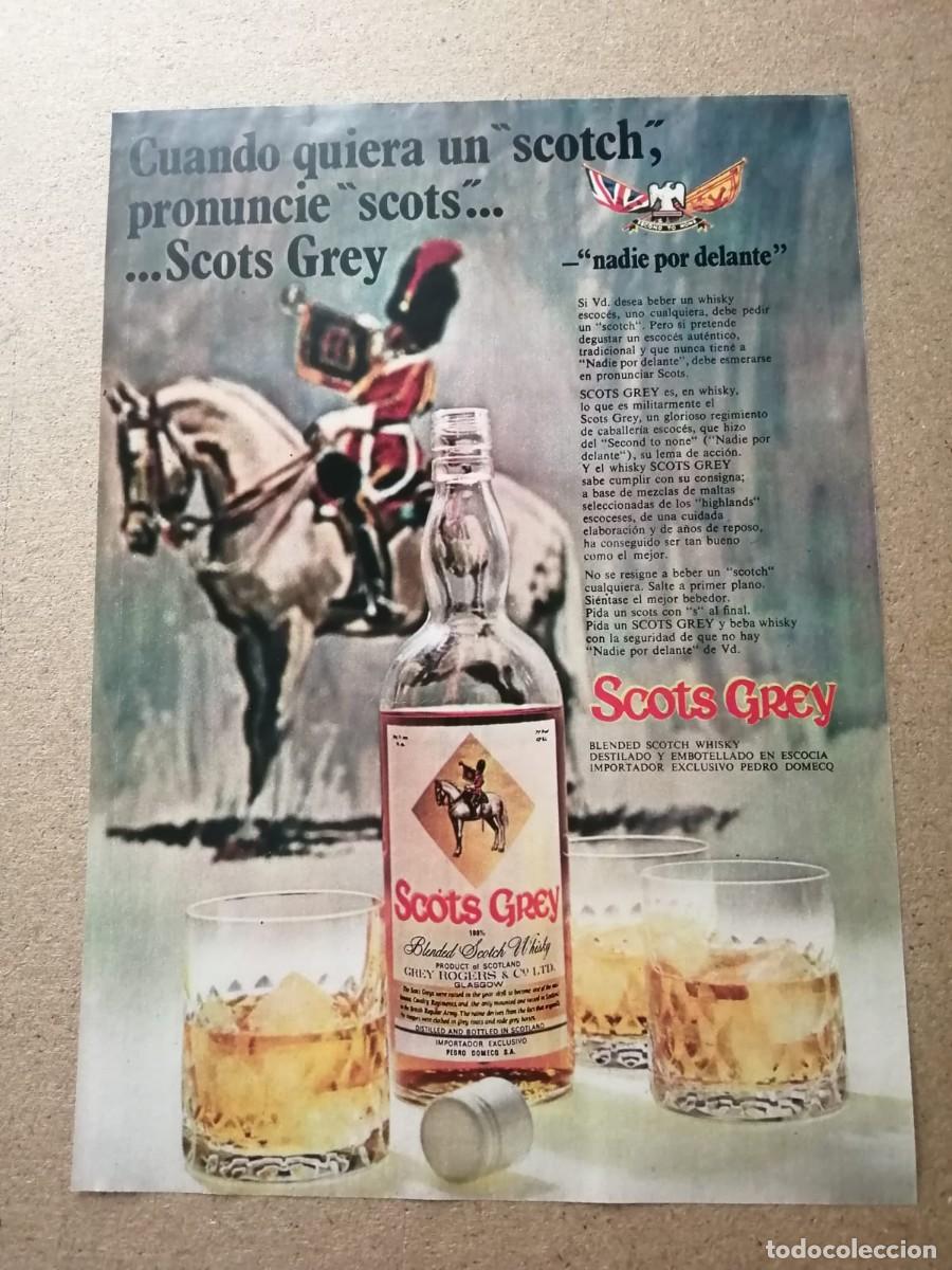 Collectionnisme Papier divers: ANUNCIO. WHISKY SCOTS GREY