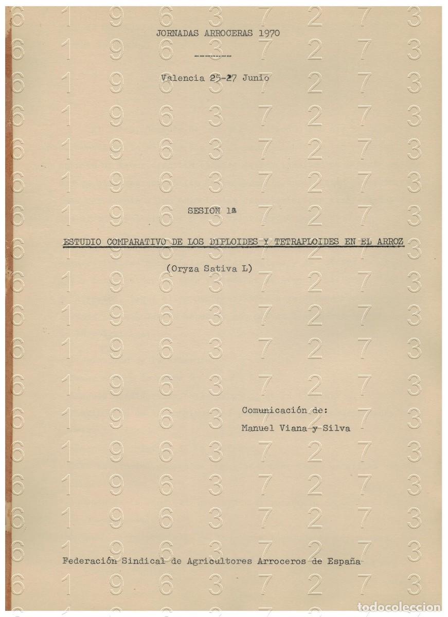 Otros Art&iacute;culos de Coleccionismo en Papel: ARROZ 1970 DIPLOIDES Y TETRAFLOIDES EN EL ARROZ MANUEL VIANA Y SILVA 2 PGS LG34