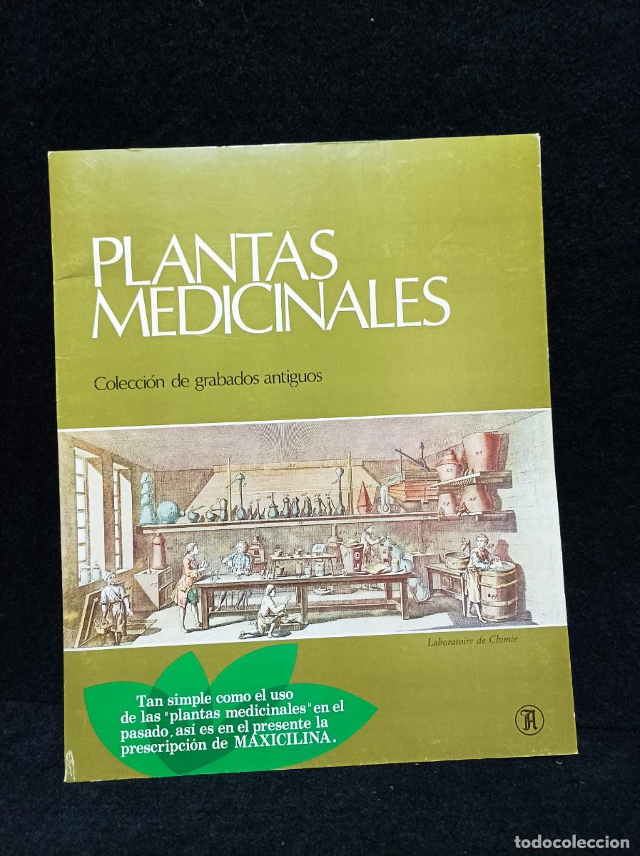 Otros Art&iacute;culos de Coleccionismo en Papel: COLECCION DE GRABADOS ANTIGUOS - PLANTAS MEDICINALES - MAXICILINA