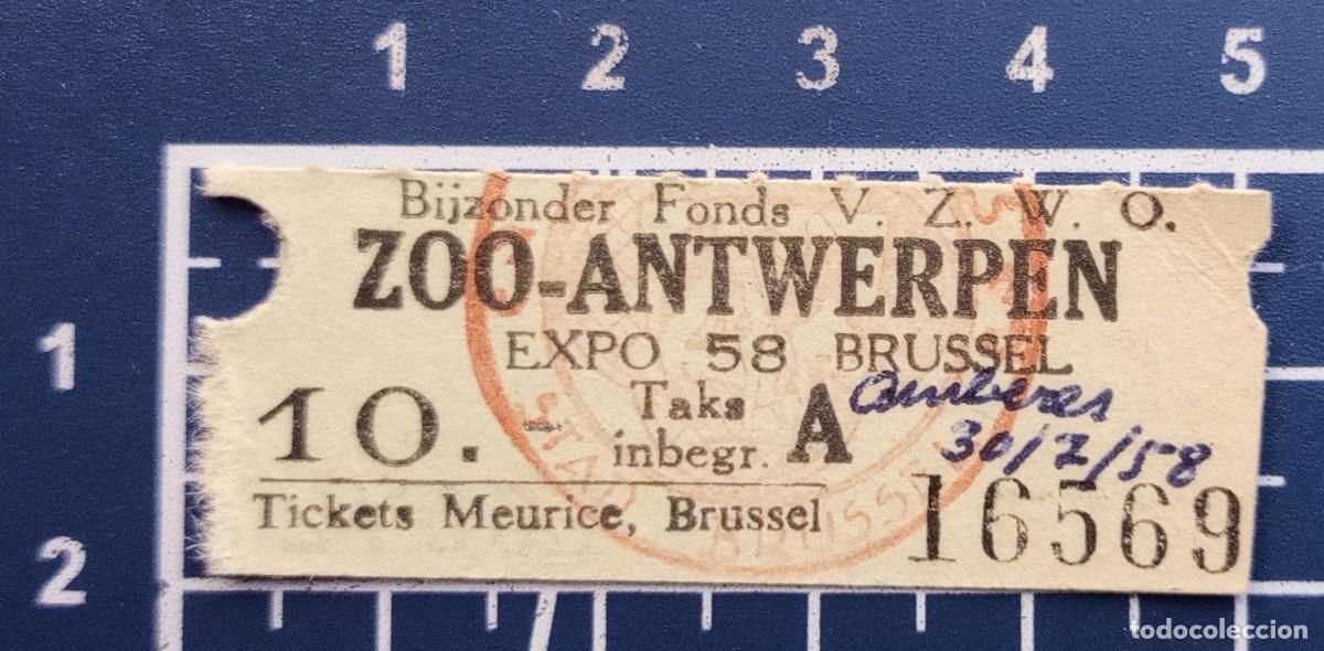 Otros art&iacute;culos de coleccionismo en papel: ENTRADA/TIQUET - ZOO-ANTWERPEN EXPO 58 - AMBERES - 1958