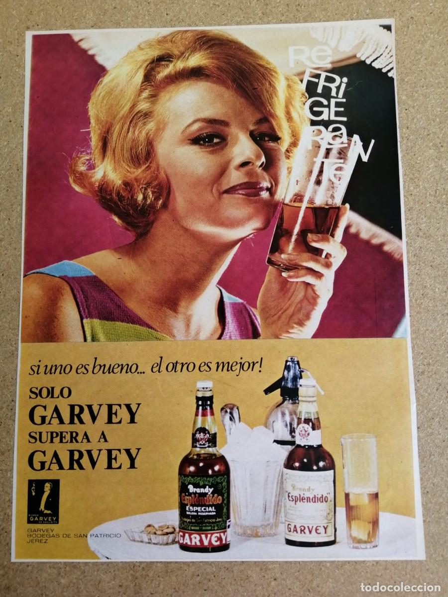 Otros art&iacute;culos de coleccionismo en papel: ANUNCIO. BRANDY ESPLENDIDO GARVEY