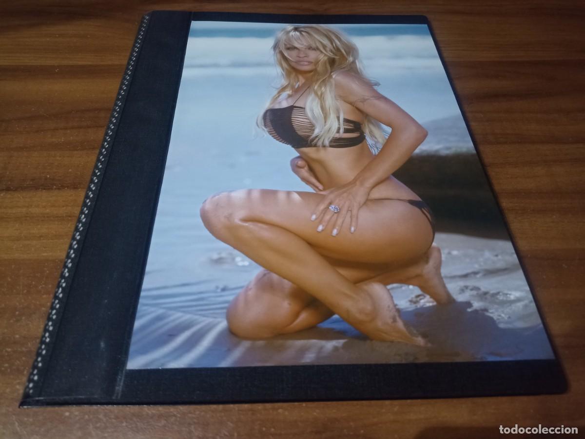 Otros art&iacute;culos de coleccionismo en papel: Pamela Anderson * Carpeta Recortes Revistas Clippings # 7