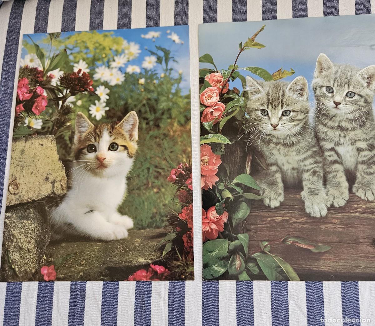 Otros art&iacute;culos de coleccionismo en papel: Antiguo Lote De 2 L&aacute;minas/ Hojas de Calendario De Gatitos Para Enmarcar. De Los A&ntilde;os 80.
