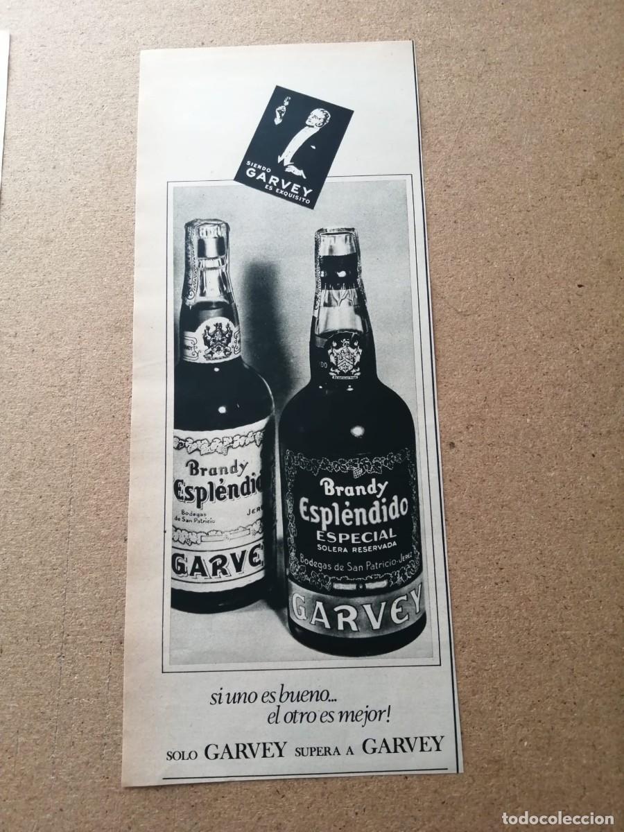 Otros art&iacute;culos de coleccionismo en papel: ANUNCIO. BRANDY ESPLENDIDO GARVEY