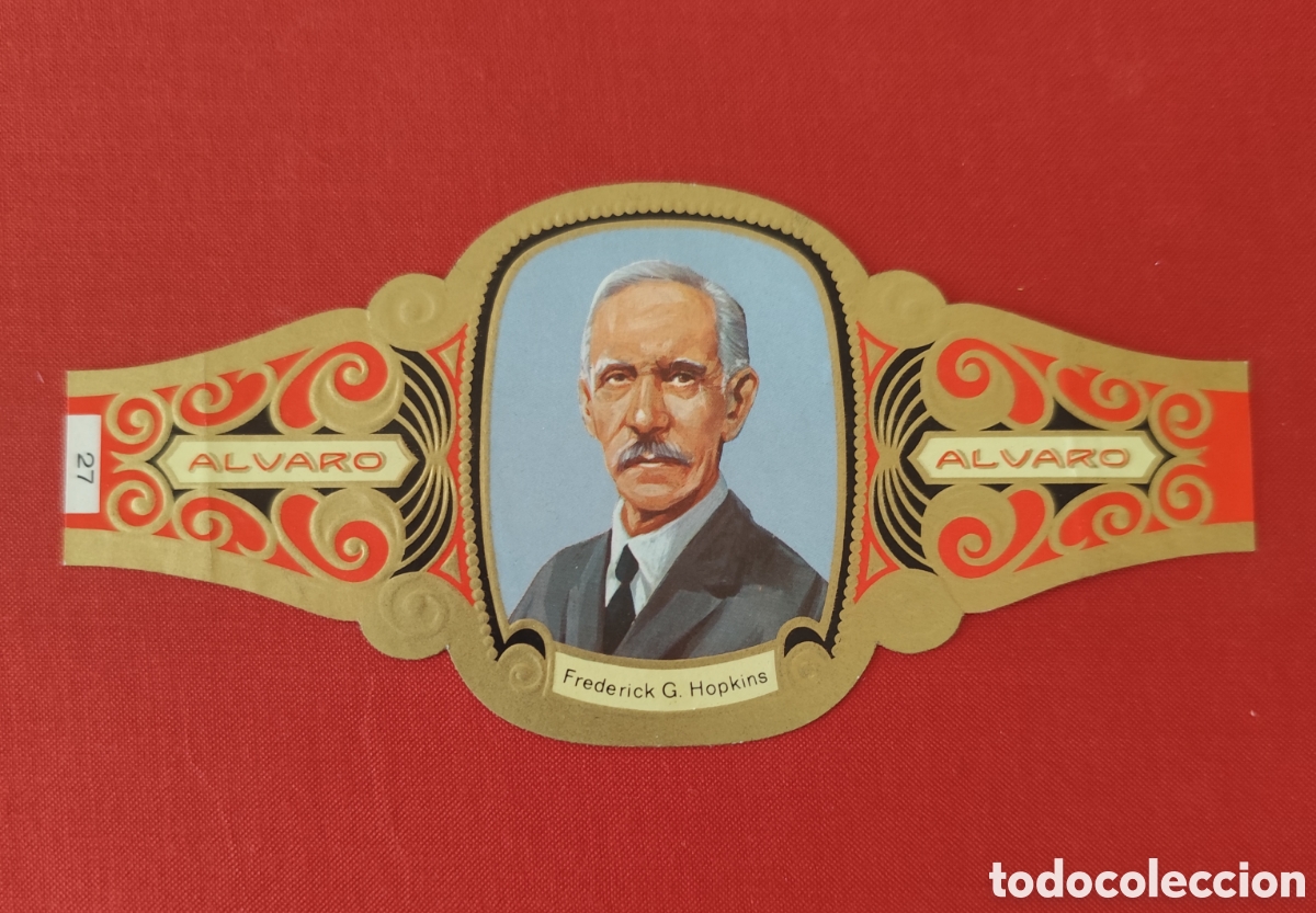 Collectionnisme Papier divers: Vitolas &Aacute;lvaro Premios Nobel
