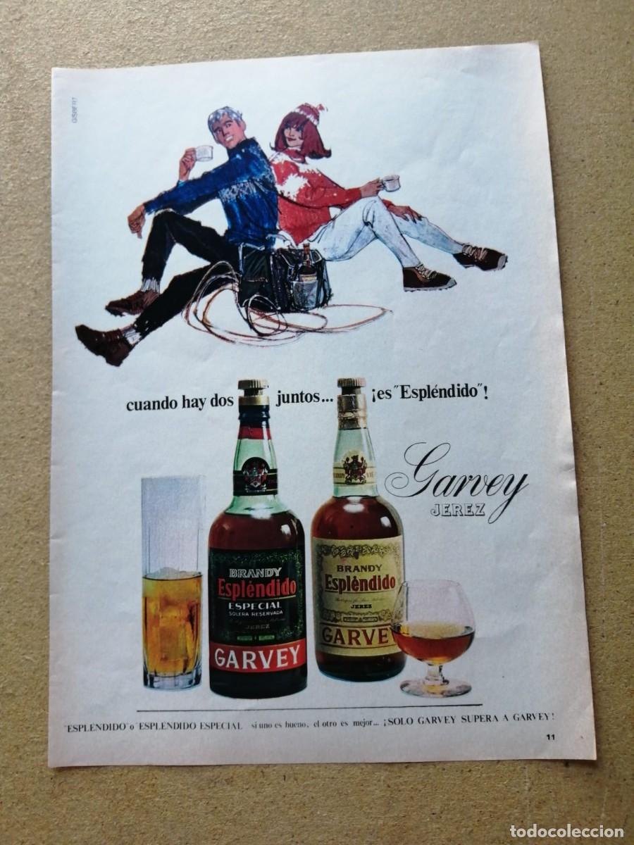 Otros art&iacute;culos de coleccionismo en papel: ANUNCIO. BRANDY ESPLENDIDO GARVEY