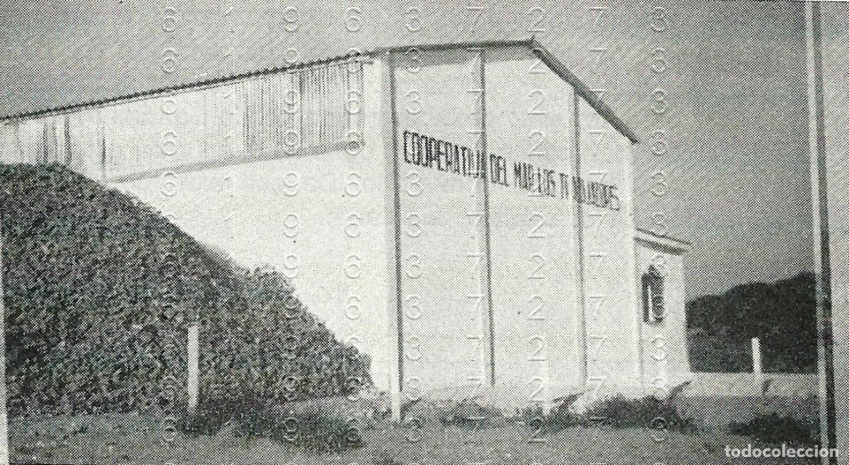 Sammelleidenschaft Andere Papierartikel: SANLUCAR DE BARRAMEDA CAMINO DE BONANZA CLIPPING ANTIGUO 11X6 B28